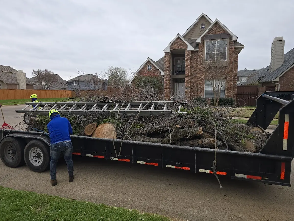 Expert Lot Clearing with proper safety equipment in Britton